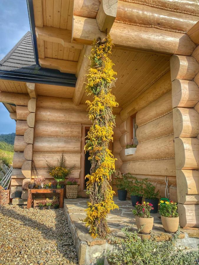 Dziejba Lesna Apartamenty &Spa - Piekne I Nowe Apartamenty I Domek, Sauna I Jacuzzi - W Cenie I Na Wylacznosc, 1 Km Od Stoku Jaworki Εξωτερικό φωτογραφία